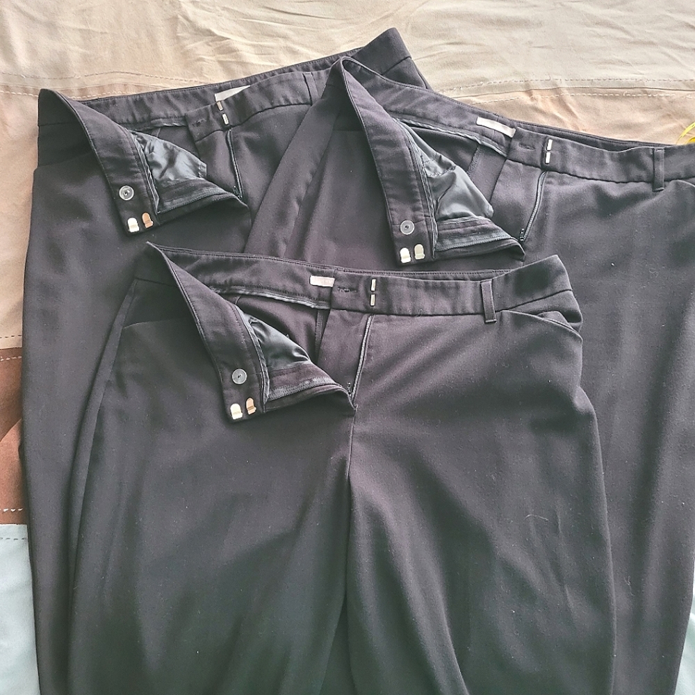 Maurices women's dress pants.